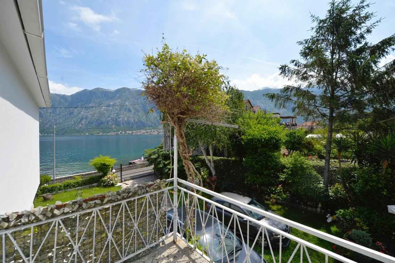 Apartments Ivanovic Kotor Exteriör bild