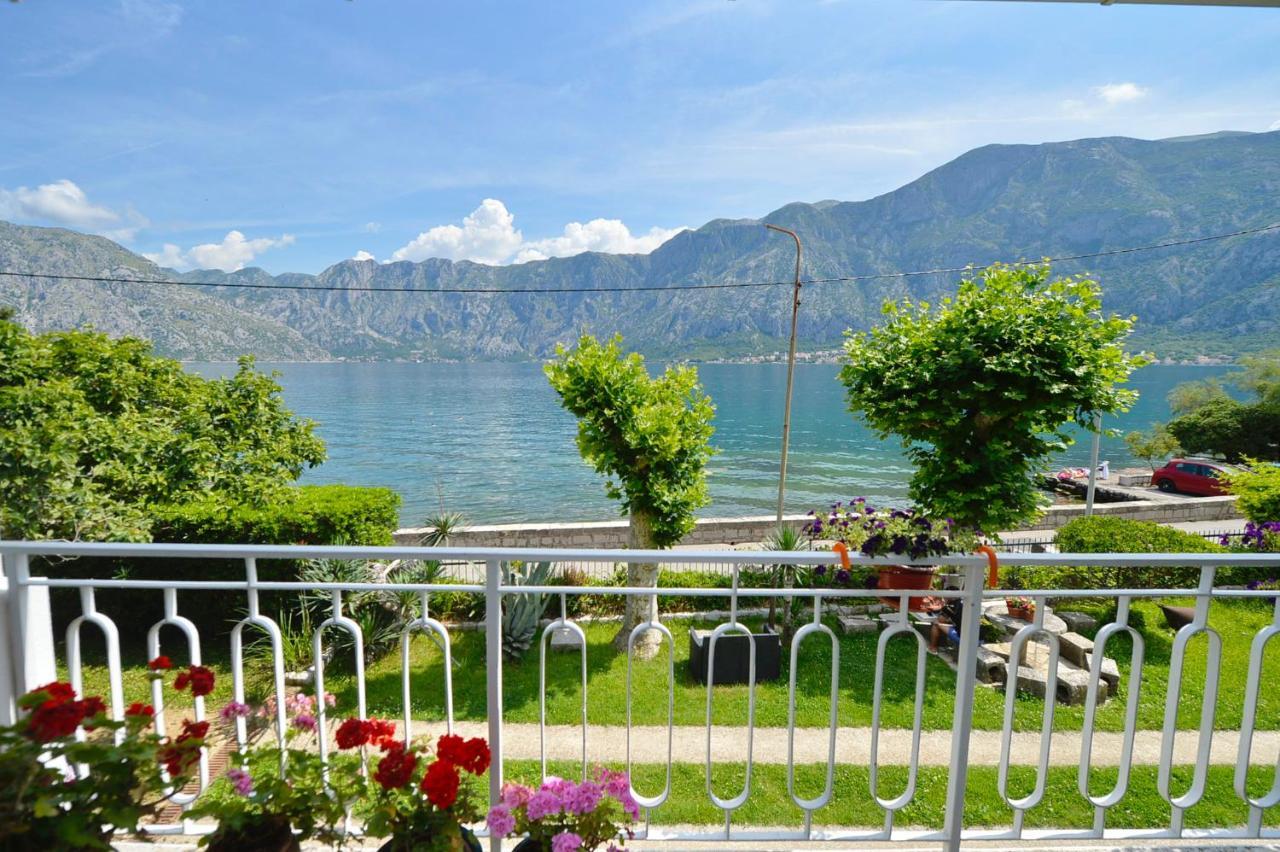 Apartments Ivanovic Kotor Exteriör bild
