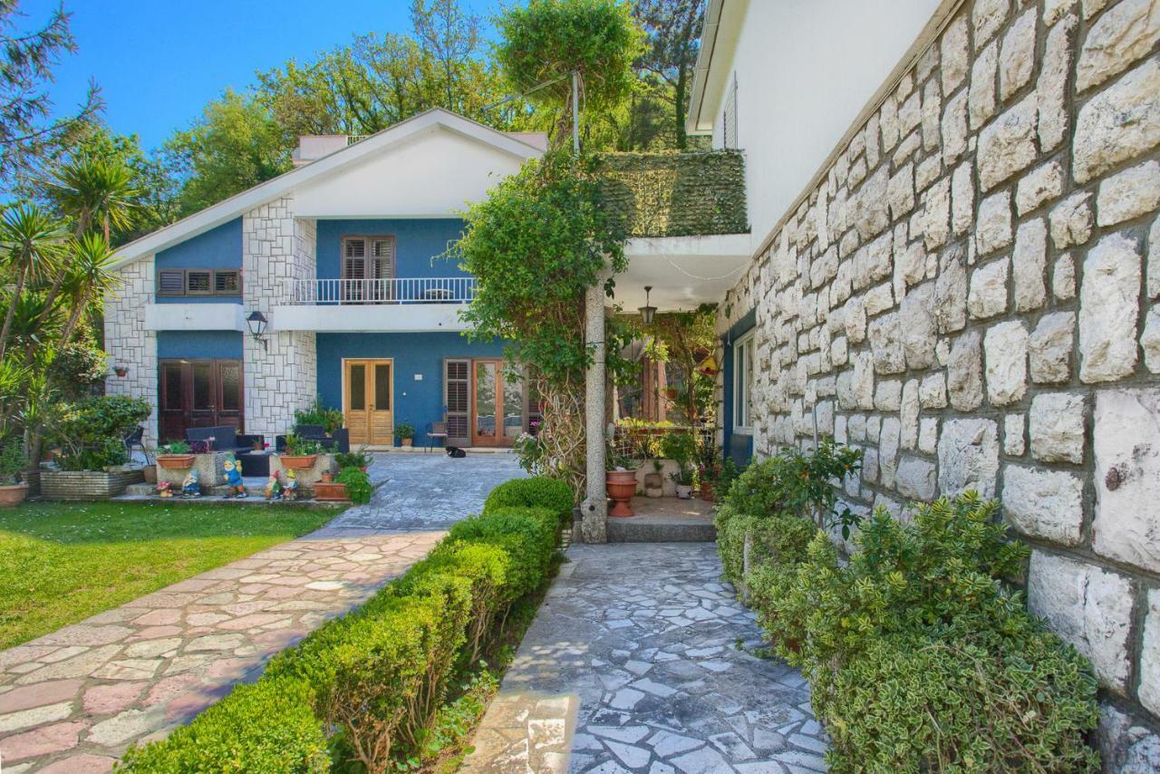 Apartments Ivanovic Kotor Exteriör bild