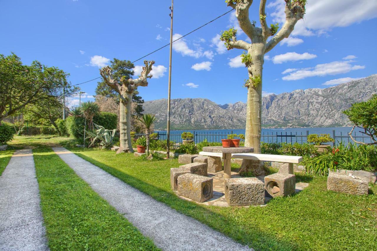 Apartments Ivanovic Kotor Exteriör bild
