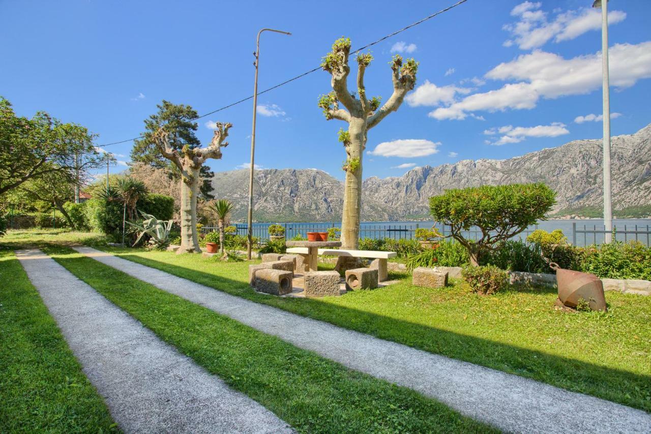 Apartments Ivanovic Kotor Exteriör bild
