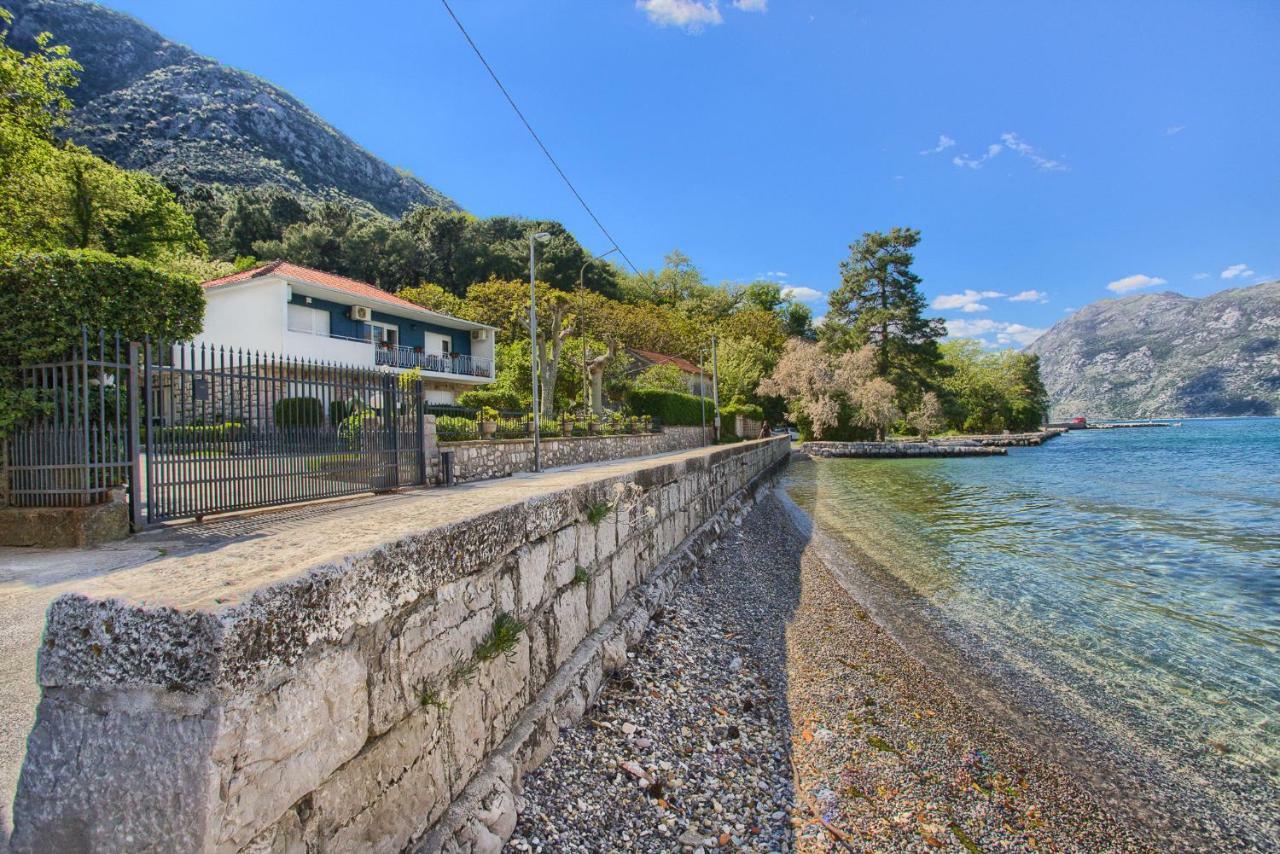 Apartments Ivanovic Kotor Exteriör bild